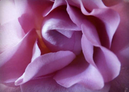 Une robe qui s'ignore