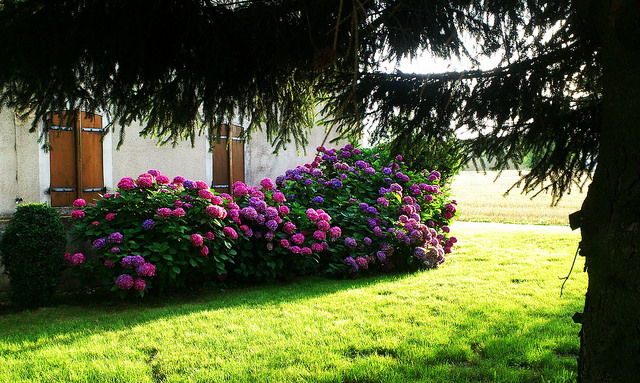 14529565917_f18e4c042d_z