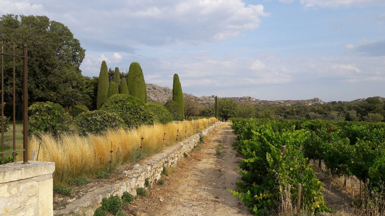 Resized_20170818_182824