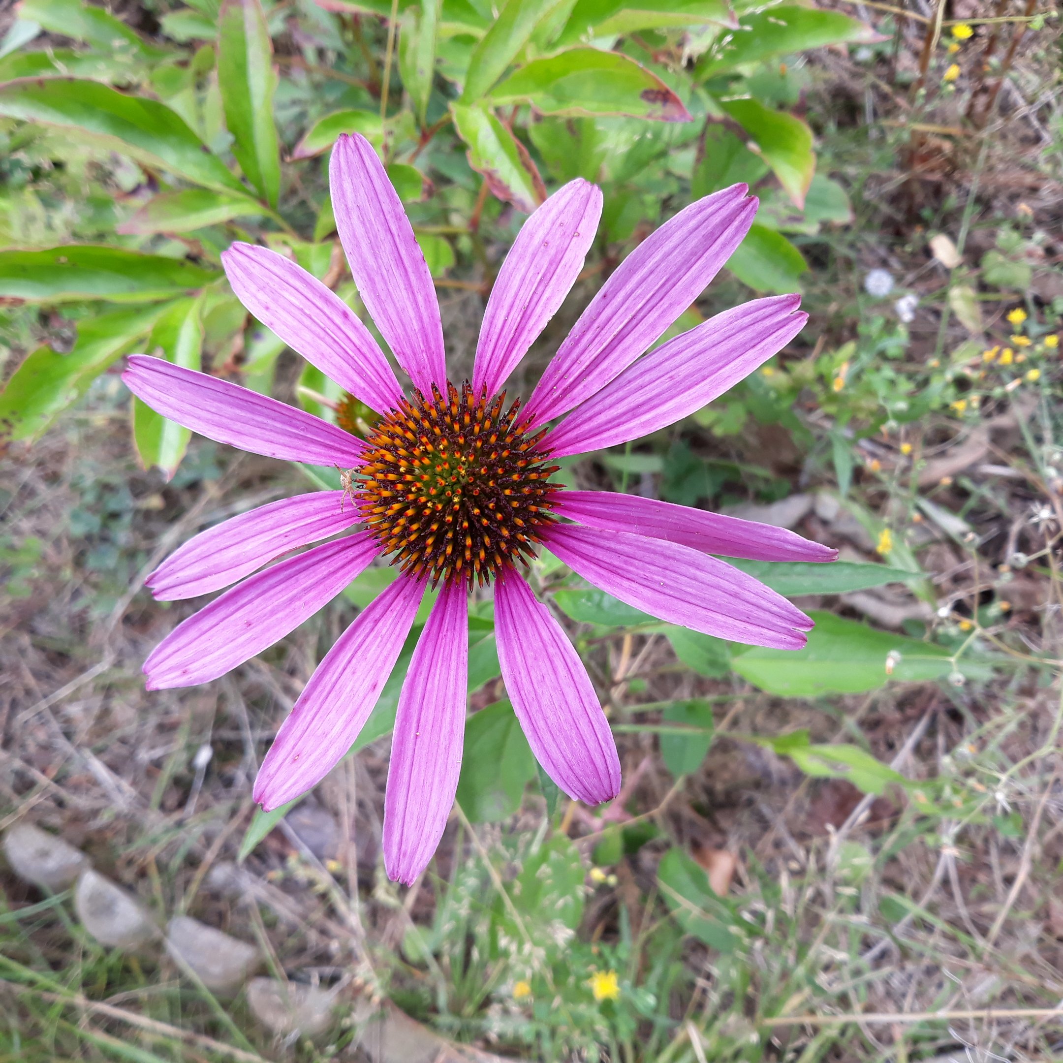 20180721_1447181767648042.jpg
