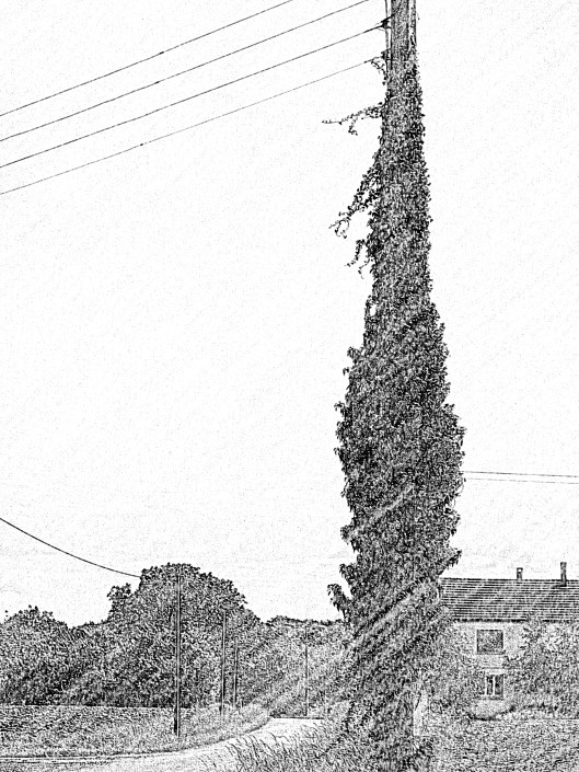 2018-08-09 11.09.31.jpg