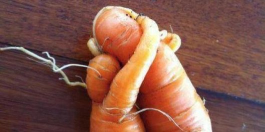 http:_i.huffpost.com_gen_1808259_images_n-LEGUME-MOCHE-628x314