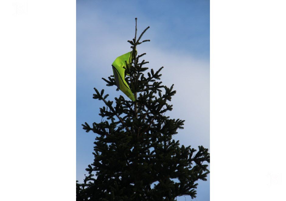 le-sapin-de-l-arc-a-enfile-son-gilet-jaune-photo-alice-emorine-1543309338
