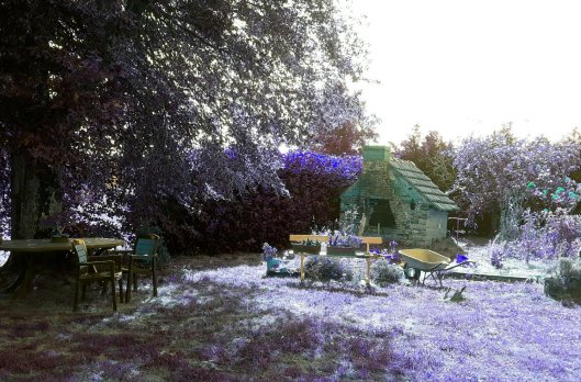 2019-07-05 152505900905504113204..jpg